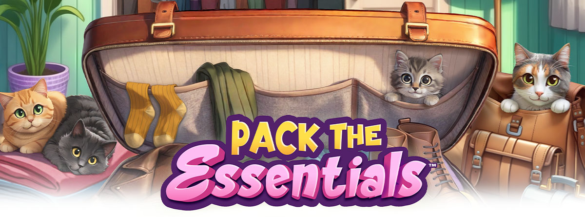Pack The Essentials Designer Diary with Jacqueline Verges